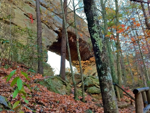 Natural Bridge State Park